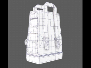 Bag V05 3D Model