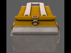 Bag V05 3D Model