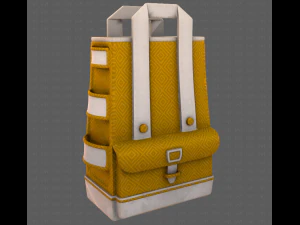 Bag V05 3D Model