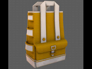 Bag V05 3D Model