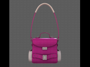 Bag V06 3D Model