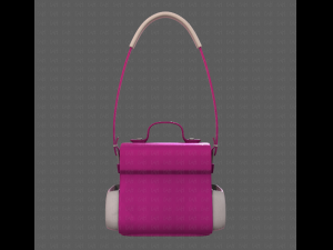 Bag V06 3D Model