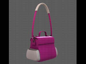 Bag V06 3D Model