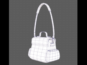 Bag V06 3D Model