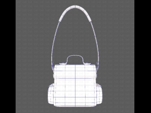 Bag V06 3D Model