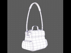 Bag V06 3D Model