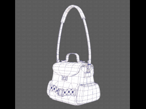 Bag V06 3D Model