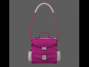 Bag V06 3D Model