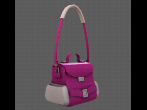 Bag V06 3D Model