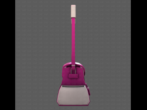 Bag V06 3D Model