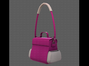 Bag V06 3D Model