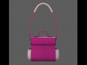 Bag V06 3D Model