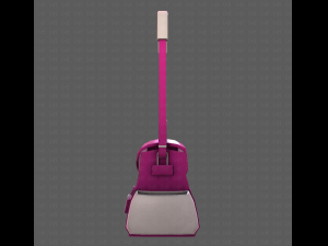 Bag V06 3D Model