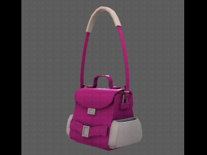 Bag V06 3D Model