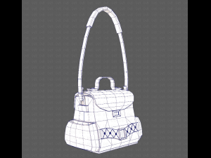 Bag V06 3D Model