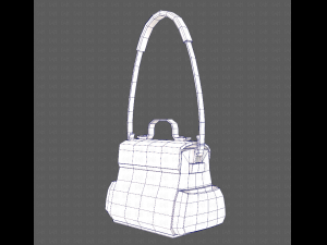 Bag V06 3D Model