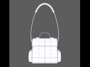 Bag V06 3D Model