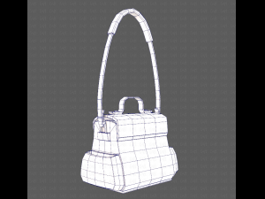 Bag V06 3D Model