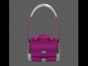 Bag V06 3D Model