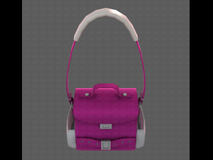 Bag V06 3D Model