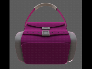 Bag V06 3D Model