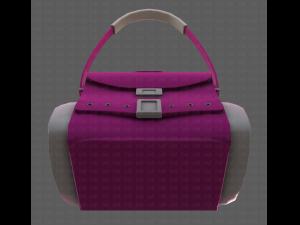 Bag V06 3D Model