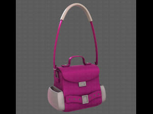 Bag V06 3D Model