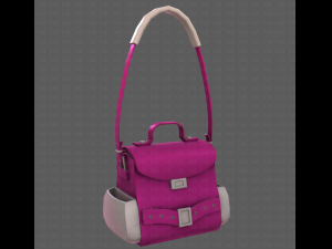 Bag V06 3D Model