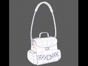 Bag V06 3D Model