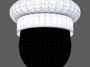 Cap V19 3D Model