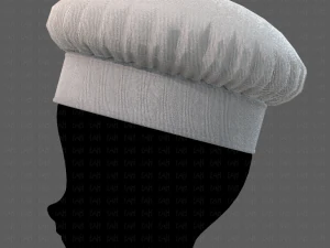 Cap V19 3D Model