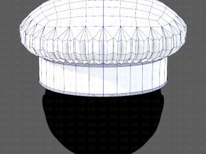 Cap V19 3Dモデル