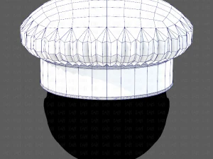 Cap V19 3D Model