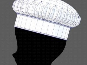 Cap V19 3D Model