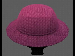 Cap V20 3D Model
