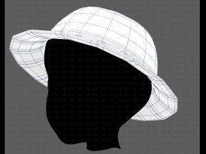 Cap V20 3D Model