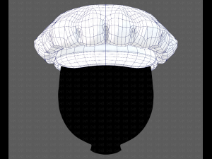 Cap V21 3D Model