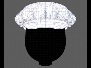 Cap V21 3D Model