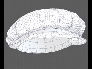 Cap V21 3D Model