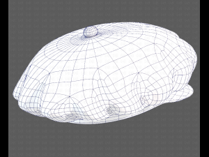 Cap V21 3D Model