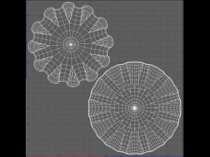 Cap V24 Modello 3D