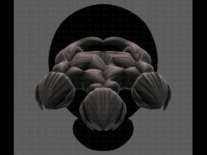 Beard V26 3D Model