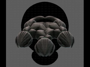 Beard V26 3D Model