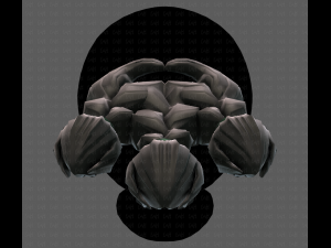 Beard V26 3D Model
