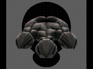 Beard V26 3D Model