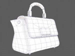 Bag V07 3D Model