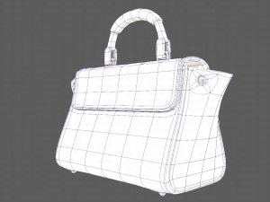 Bag V07 3D Model