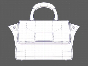 Bag V07 3D Model