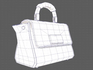 Bag V07 3D Model