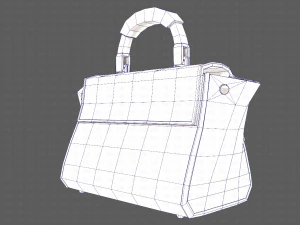 Bag V07 3D Model